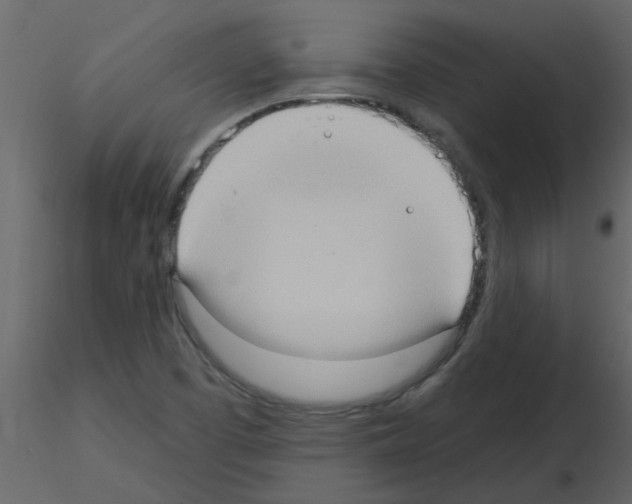 X0000115791457200912241821