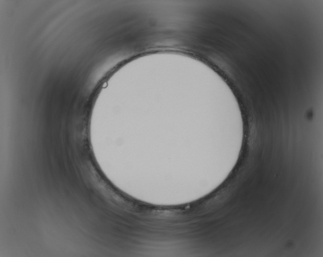 X0000115791458200912241821