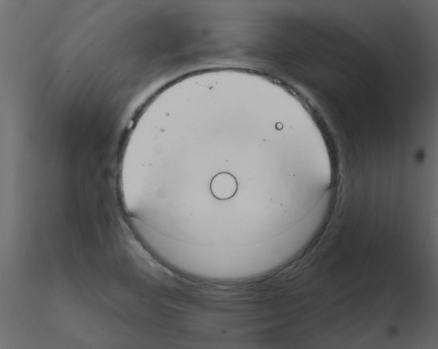 X0000115791460200912241821