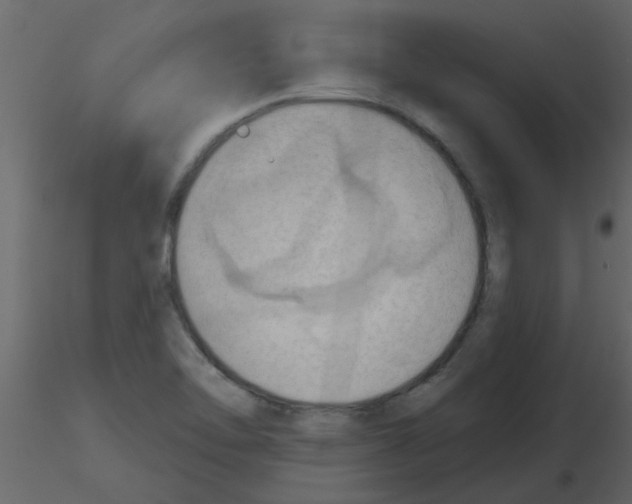 X0000115791462200912241821