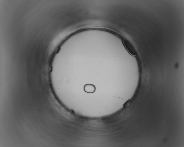 X0000115791464200912241821