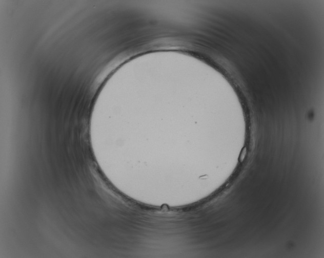 X0000115791465200912241821