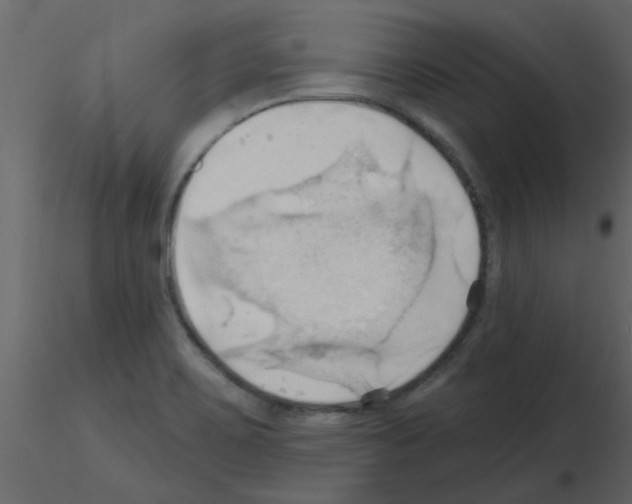 X0000115791467200912241821