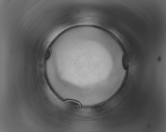 X0000115791468200912241821