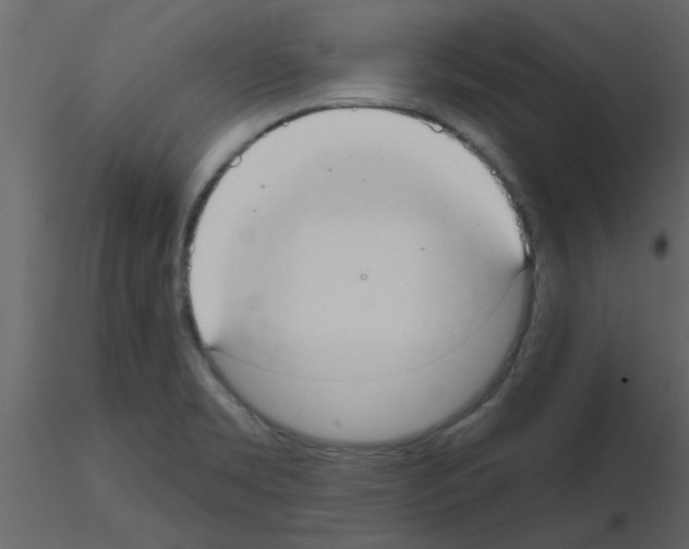 X0000115791469200912241821
