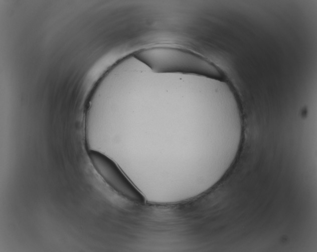 X0000115791472200912241821