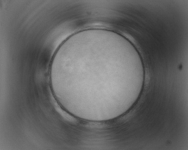 X0000115791474200912241821