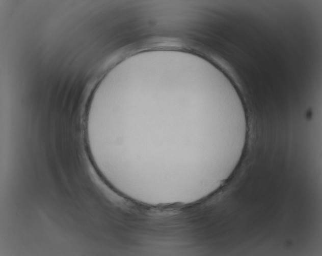 X0000115791475200912241821