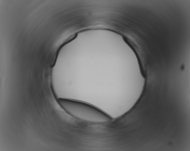 X0000115791476200912241821