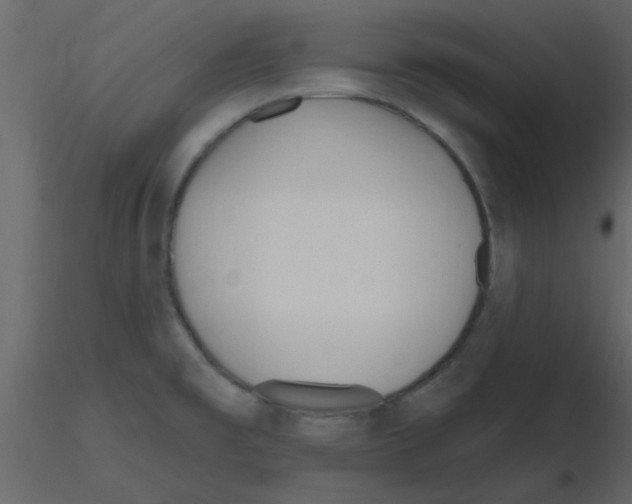 X0000115791477200912241821
