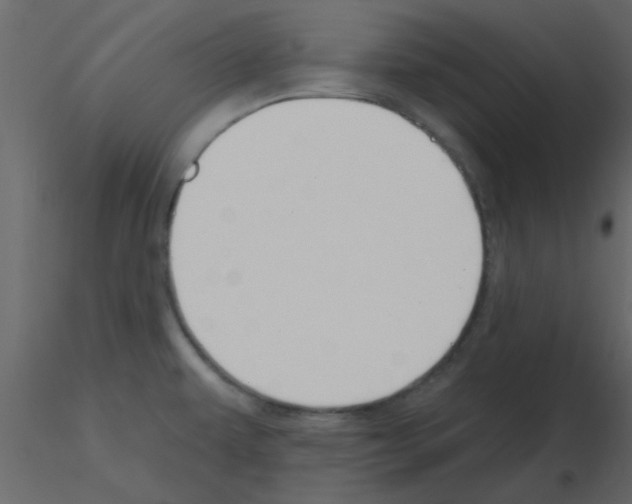 X0000115791479200912241821