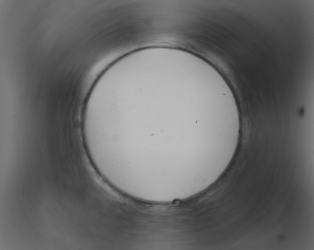 X0000115791480200912241821