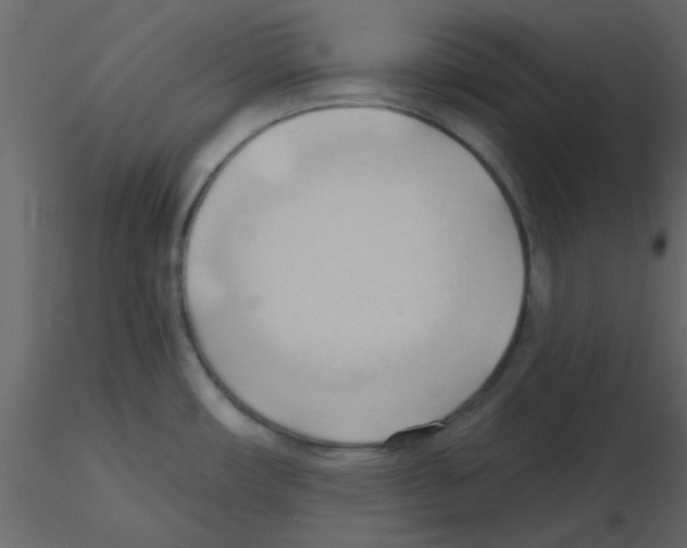 X0000115791482200912241821