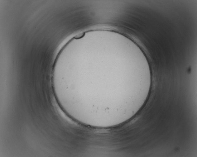 X0000115791484200912241821