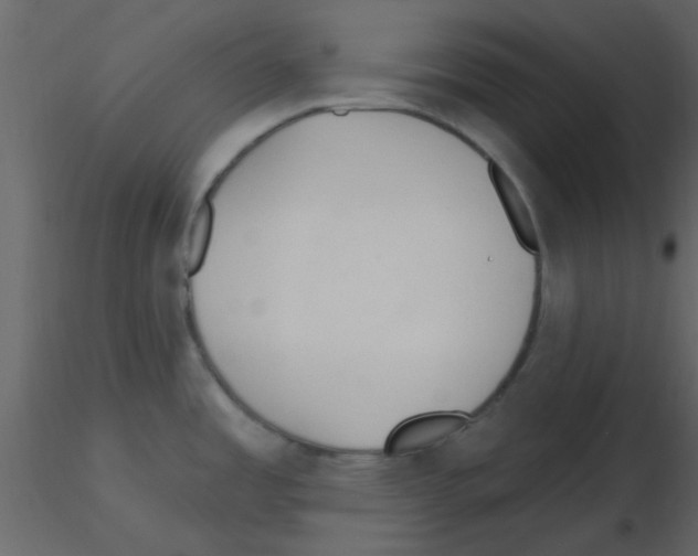 X0000115791485200912241821