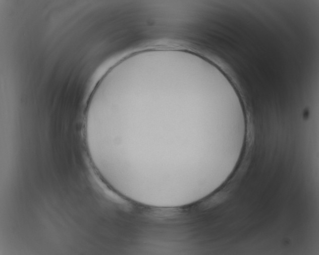 X0000115791486200912241821
