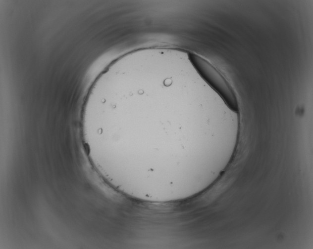 X0000115791488200912241821