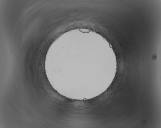 X0000115791489200912241820