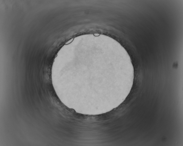 X0000115791490200912241820