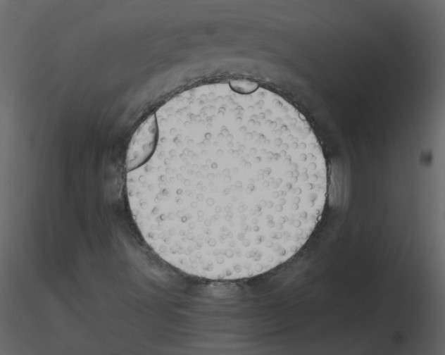 X0000115791491200912241820