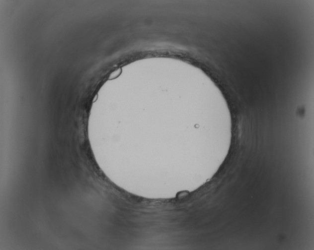 X0000115791493200912241820