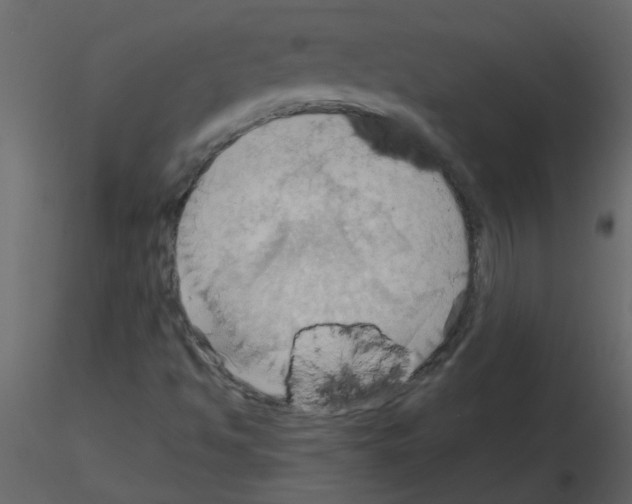 X0000115791494200912241820