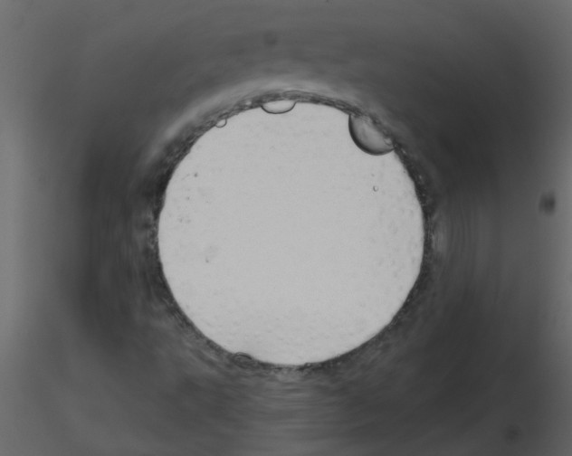 X0000115791495200912241820