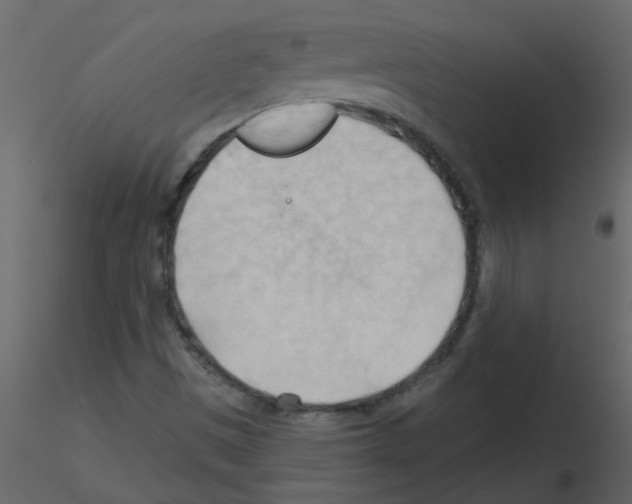 X0000115791497200912241820