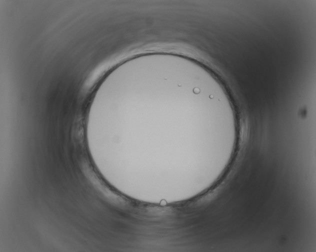 X0000115791498200912241820