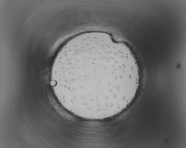 X0000115791499200912241820