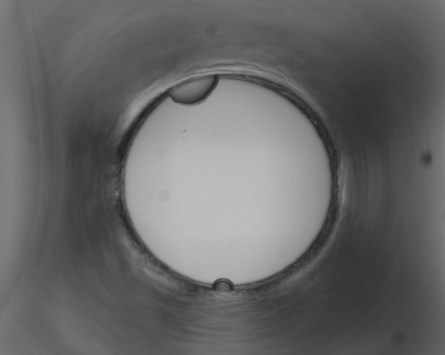 X0000115791501200912241820