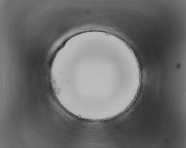 X0000115791502200912241820