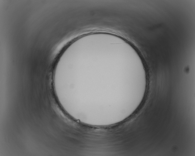 X0000115791503200912241821