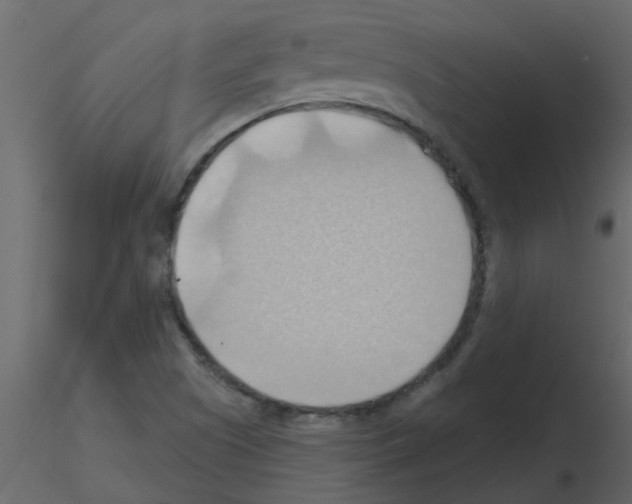 X0000115791505200912241821
