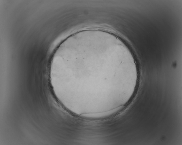 X0000115791506200912241821