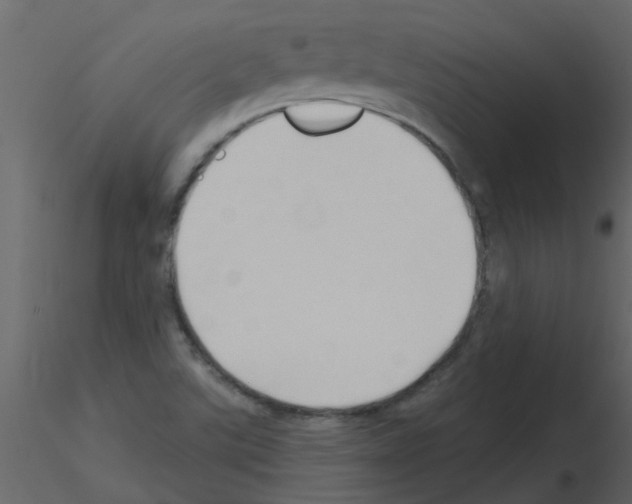 X0000115791507200912241821