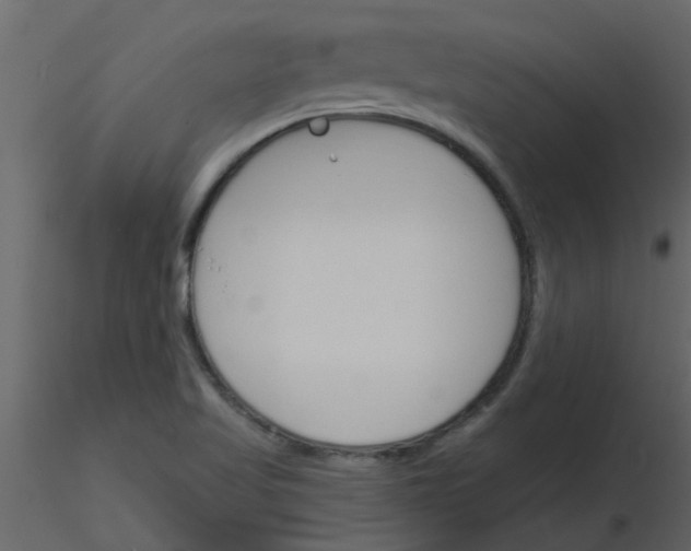 X0000115791509200912241821