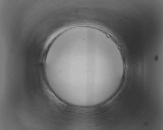 X0000115791510200912241821