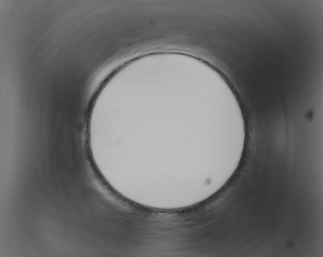 X0000115791511200912241821