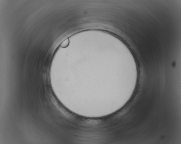 X0000115791513200912241821