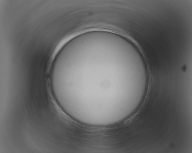 X0000115791514200912241821