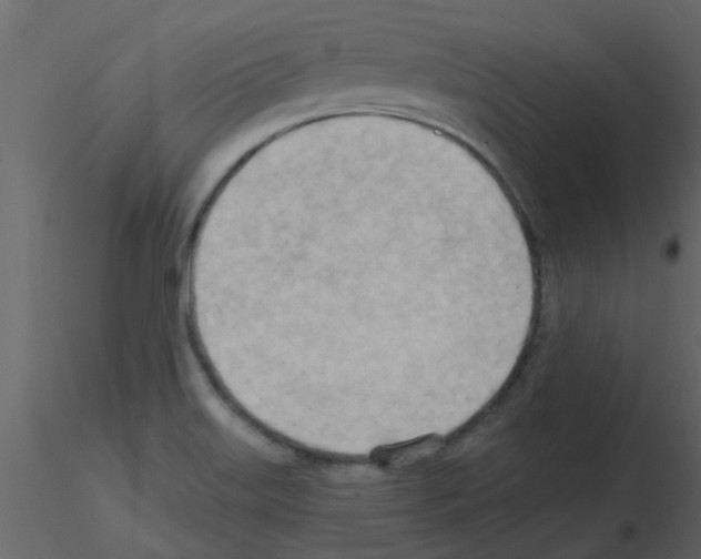 X0000115791515200912241821