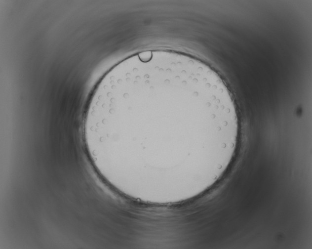 X0000115791517200912241821