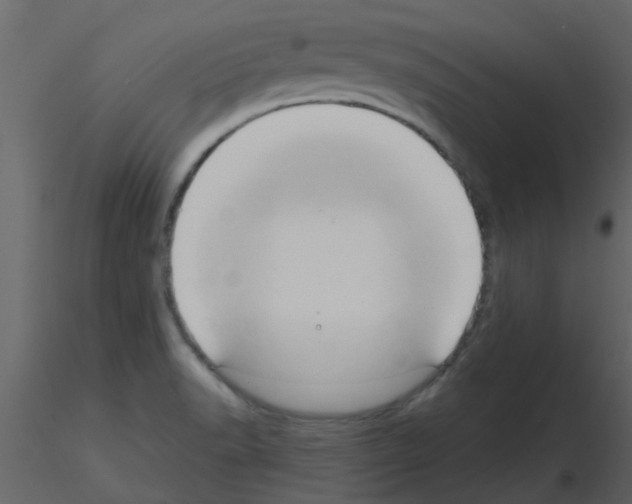 X0000115791518200912241821