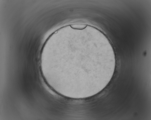 X0000115791519200912241821