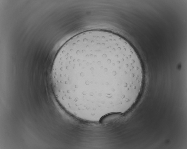 X0000115791521200912241821