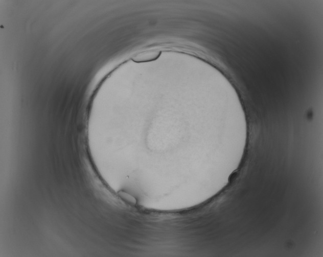 X0000115791522200912241821
