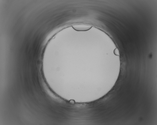 X0000115791523200912241821