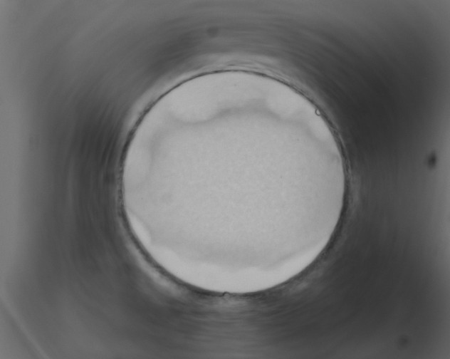X0000115791525200912241821