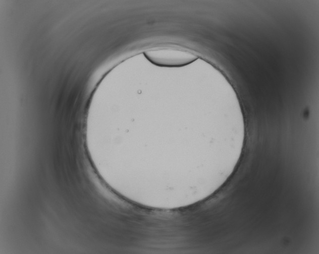 X0000115791526200912241821